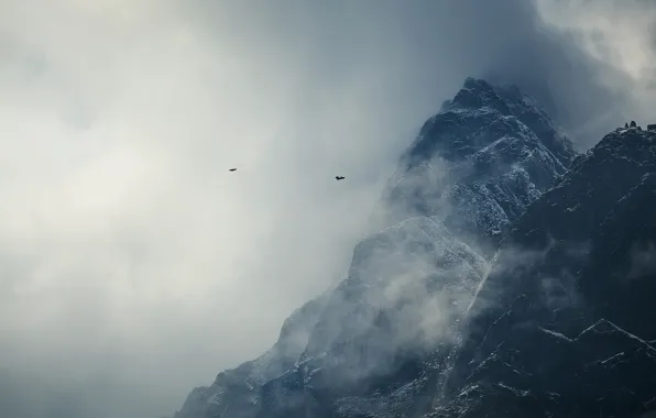Clouds, snow, mountains, birds, The Himalayas, Nepal