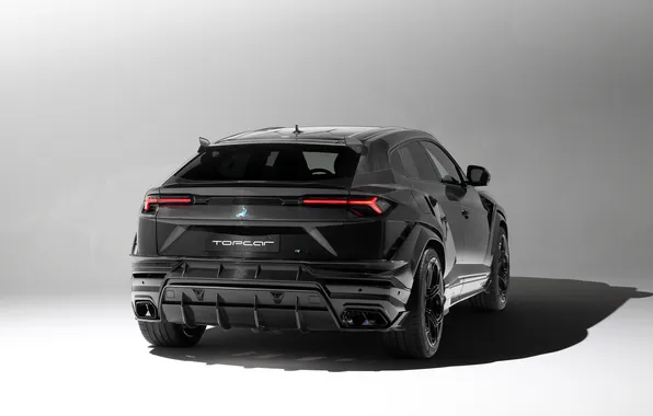 Lamborghini, SUV, SUV, Urus, Urus, Carbon Edition, 2024, Lamborghini Urus R'Evo