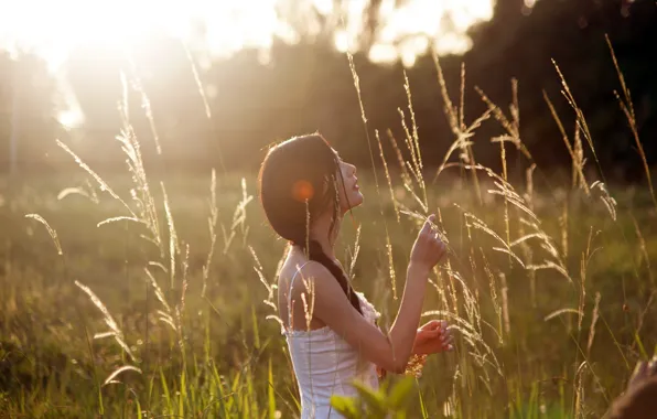 Picture field, girl, the sun, tenderness, Girl, profile, Nature, Asian