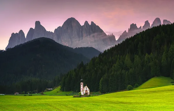 Field, forest, mountains, tops, Alps, Church