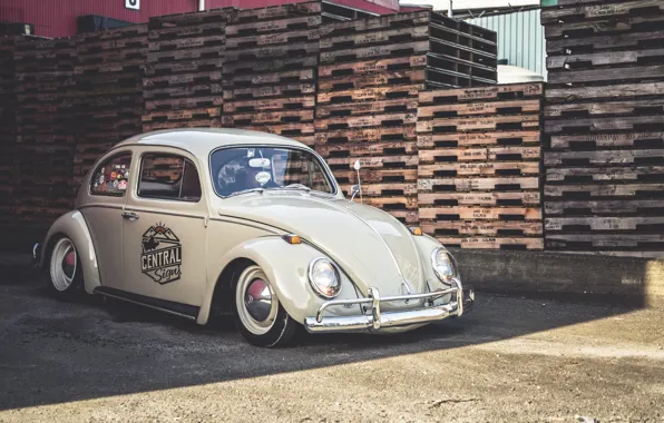 Picture Volkswagen, Old, Beetle, Stock