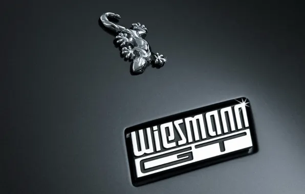 Metal, the inscription, logo, lizard, wiesmann