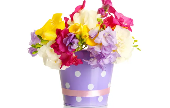 Flowers, bouquet, bucket, tape