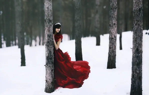 Picture winter, forest, girl