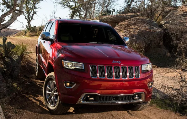 Trees, red, Jeep, the front, Jeep, Grand Cherokee, Grand Cheroke, Summit