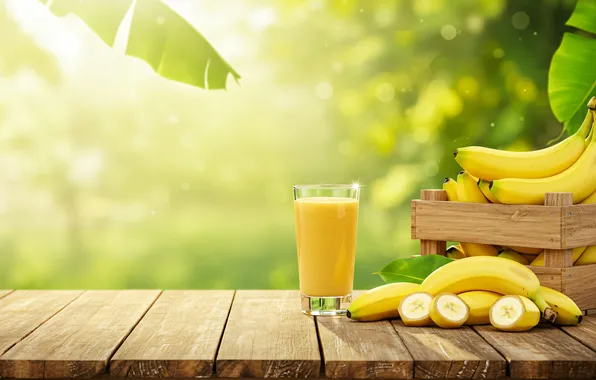 Leaves, the sun, rays, light, glass, tropics, Board, juice