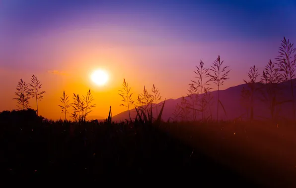 Field, the sky, sunset, nature, mountain, Nature, sky, field