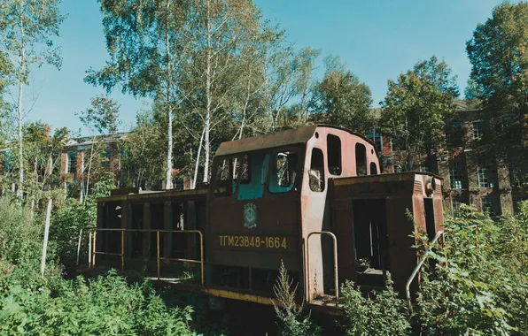 Autumn, the sky, grass, trees, building, Russia, architecture, abandoned house