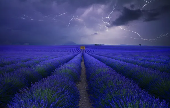 Picture field, the sky, clouds, zipper, lavender