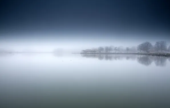 Picture fog, lake, shore, morning