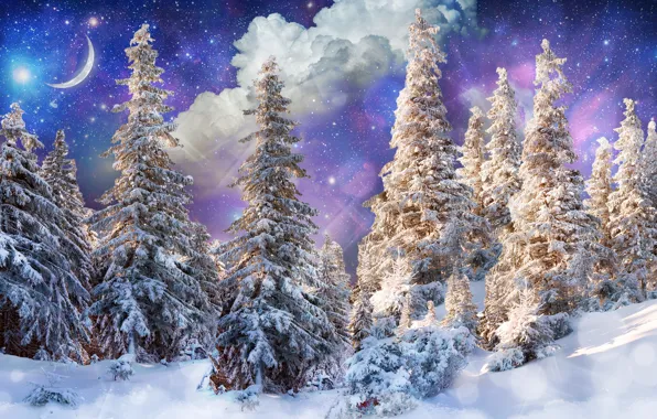 Winter, forest, the sun, stars, clouds, snow, trees, glare