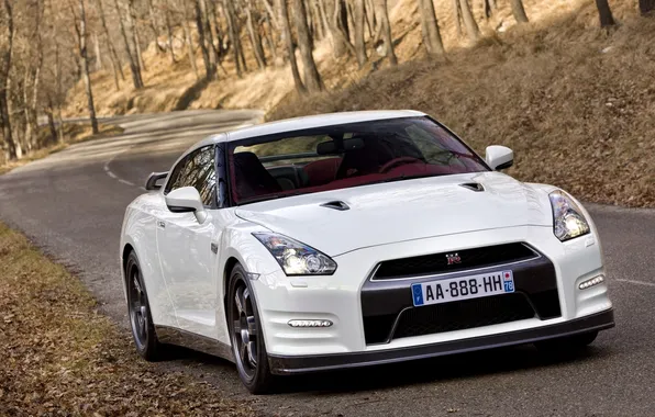 Picture white, nissan, Nissan, gt-r