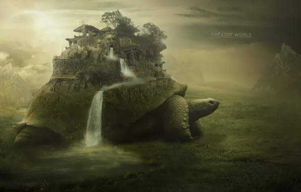 Face, waterfall, turtle, ladder