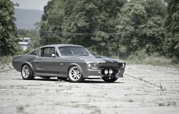 Tuning, GT500, Ford Mustang, Ford Mustang, Shelby Eleanor