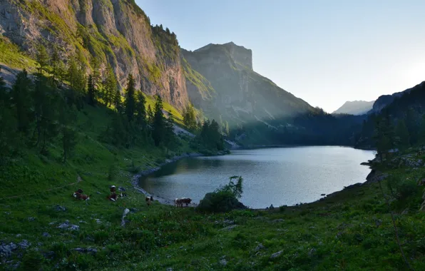 Mountains, nature, lake, Alps