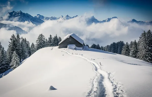 Snow, mountains, house
