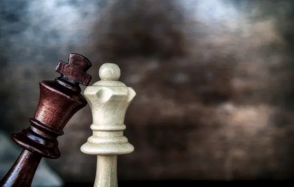 Wallpaper love, game, macro, chess, queen, king for mobile and