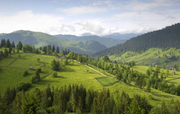 Picture clouds, trees, hills