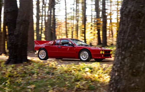 Picture Lancia, Rally, 1982, sports car, Lancia Rall Stradale 037 Stradale