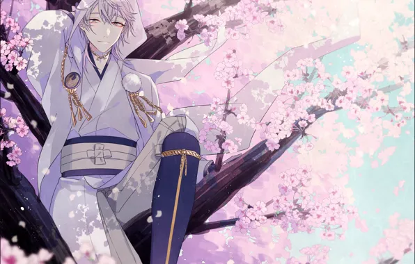 Spring, Sakura, guy, Touken Ranbu, Dance of swords