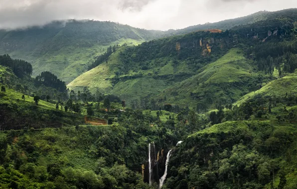 Greens, landscape, tropics, Sri Lanka
