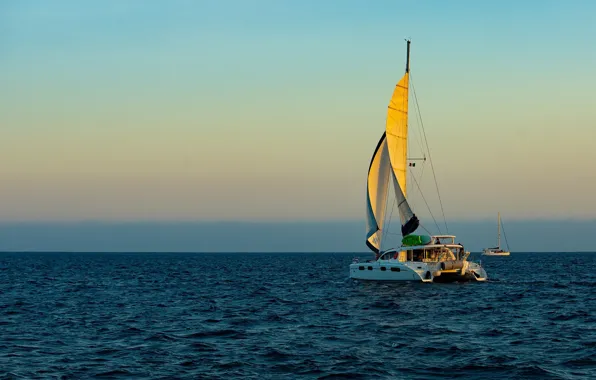 Sea, the sun, fog, boats, morning, haze, sails, catamaran