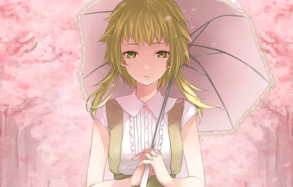 Picture spring, umbrella, anime, Sakura, girl