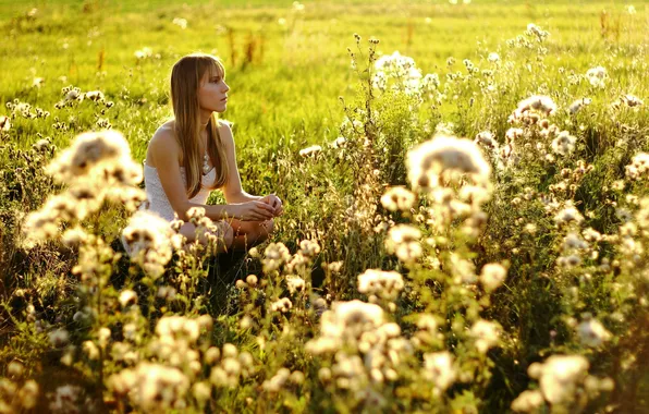 Picture field, summer, girl, mood