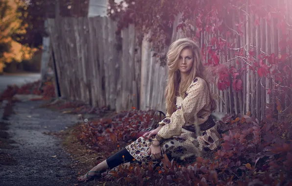 Autumn, leaves, sweetheart, Girl, sitting, blonde, dress, the road