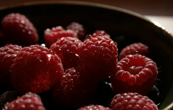 Drops, macro, raspberry, photo, background, Wallpaper, berry, plate