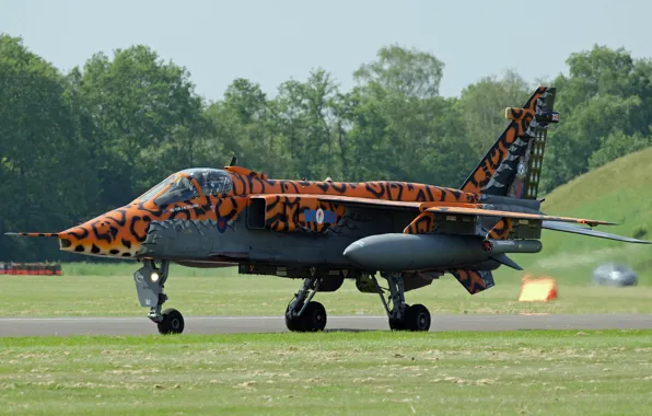 Jaguar, fighter, bomber, the airfield, "Jaguar"