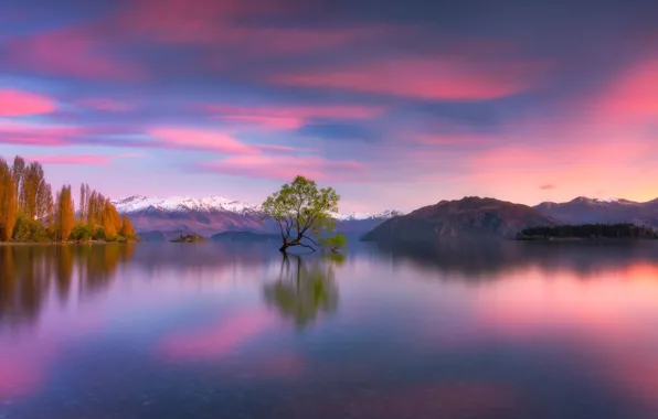 Mountains, lake, tree, New Zealand, New Zealand, Lake Wanaka, Southern Alps, Southern Alps
