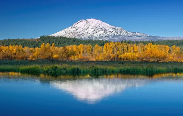 Picture lake, USA, Washington, Trout