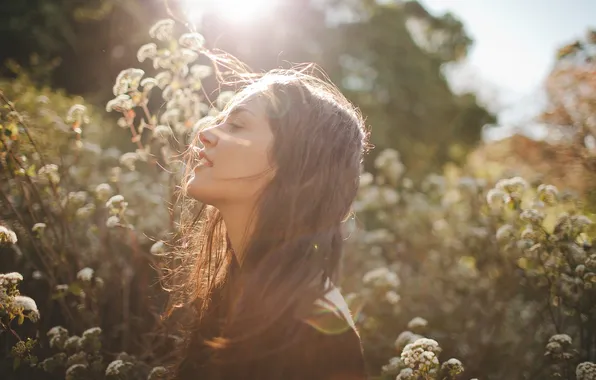 Picture grass, girl, smile, the wind, profile, brown hair