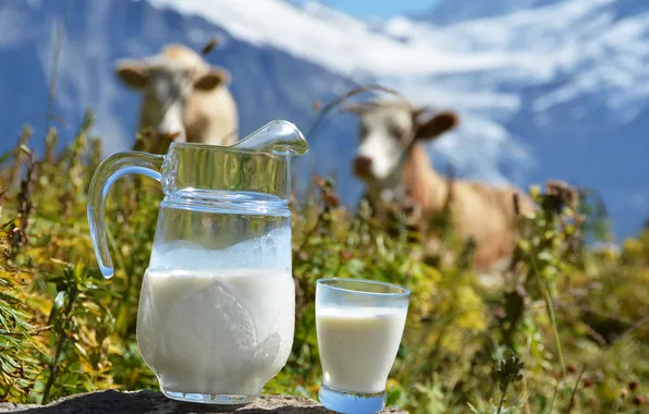 Mountains, glass, cows, milk, pitcher