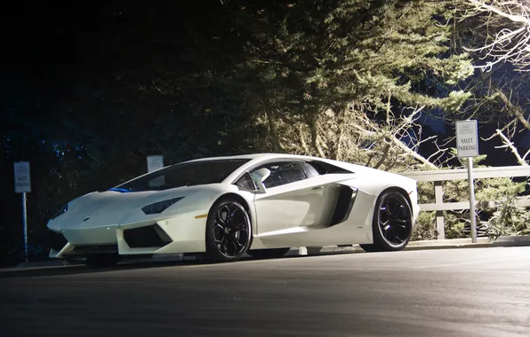 Trees, the evening, lighting, signs, the fence, lamborghini, trees, aventador