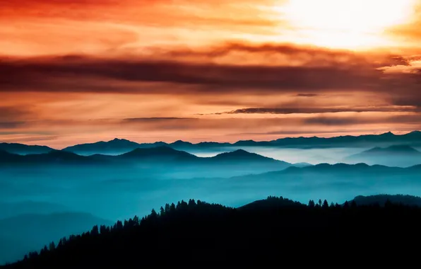 Forest, the sky, fog, Thoughful Horizon