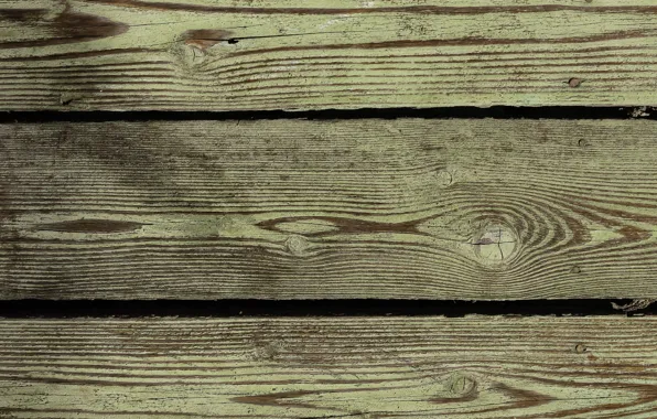Tree, structure, Board