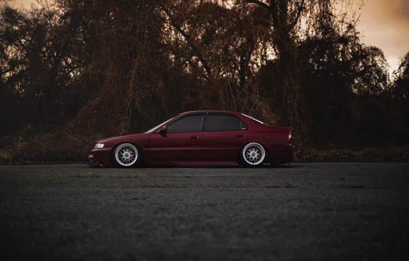 Tuning, red, Honda, Accord, red, Honda, chord, stance