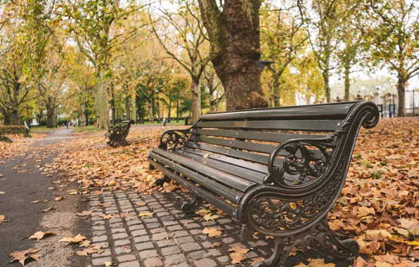 Autumn, leaves, trees, bench, Park, nature, park, autumn