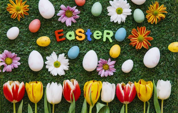 Picture Flowers, Tulips, Easter, Eggs, Weed, Holiday, Chrysanthemum