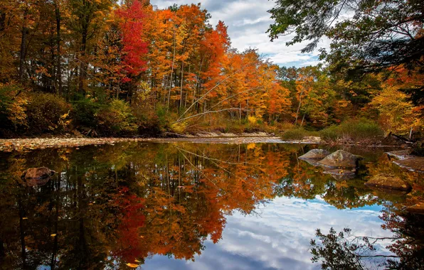 Picture autumn, forest, clouds, trees, river, stones, USA, Maine