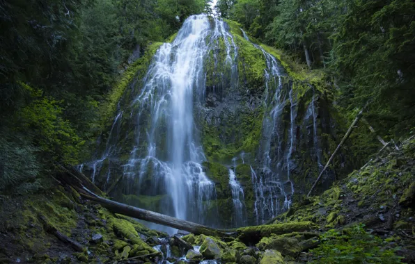 Rock, stones, waterfall, moss, log