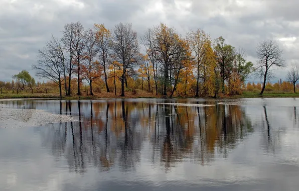 Picture FOREST, WATER, The SKY, REFLECTION, TREES, RIVER, AUTUMN