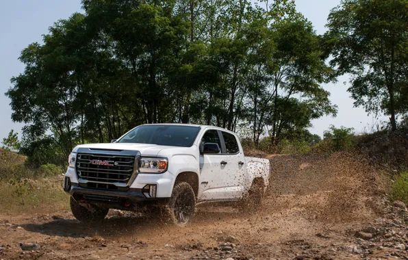 Trees, movement, dirt, pickup, GMC, Crew Cab, Canyon, AT4