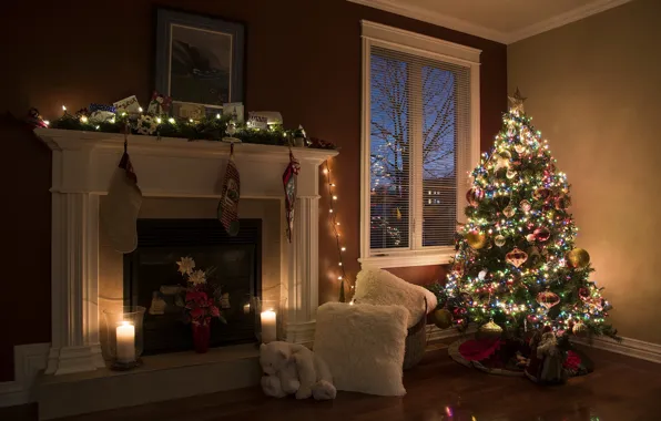 Picture room, holiday, tree