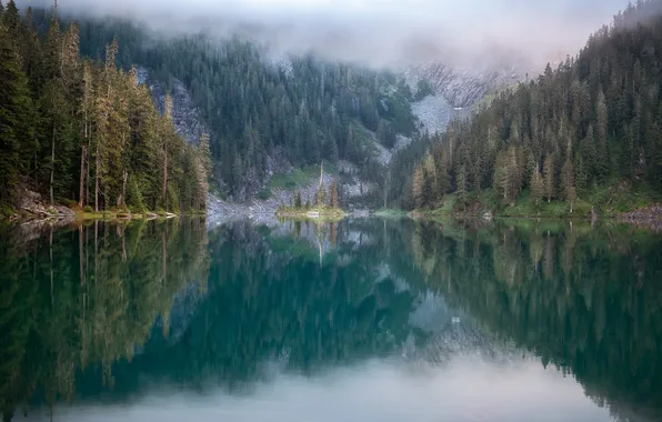 Forest, clouds, mountains, fog, lake, reflection, shore, morning