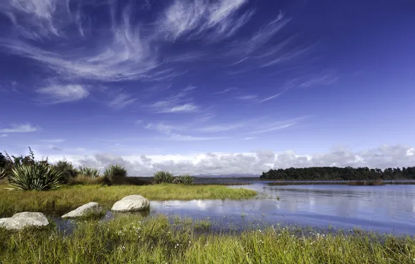 Picture the sky, grass, clouds, lake, stones, New Zealand, the bushes, Lake Mahinapua