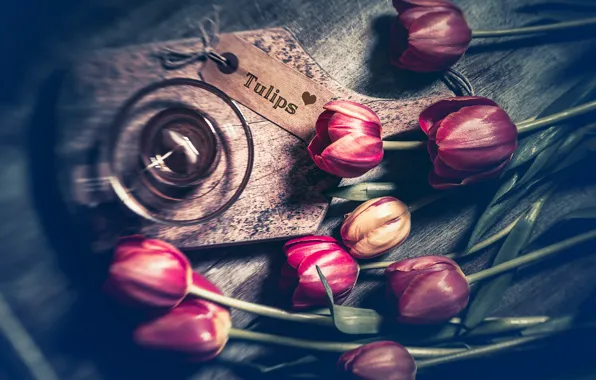 Picture flowers, background, color, tulips