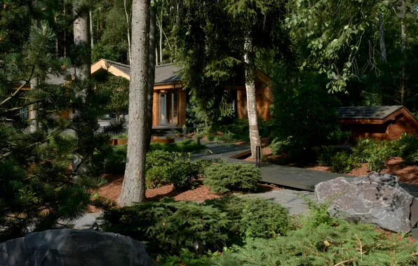 Nature, Nature, Manor, Estate, Resort area of St. Petersburg, The resort area of St. Petersburg